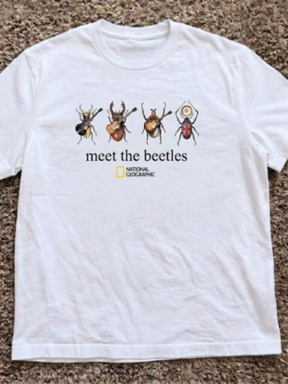 "Meet The Beetles" Nature Graphic T-Shirt